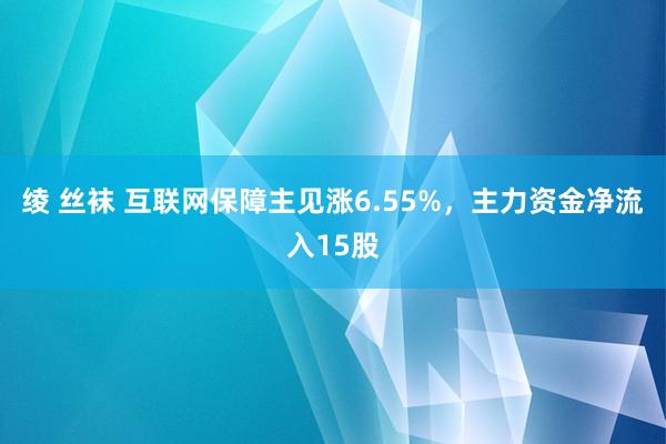 绫 丝袜 互联网保障主见涨6.55%，主力资金净流入15股