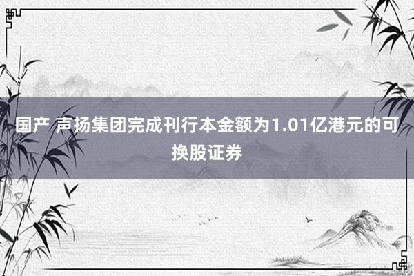 国产 声扬集团完成刊行本金额为1.01亿港元的可换股证券