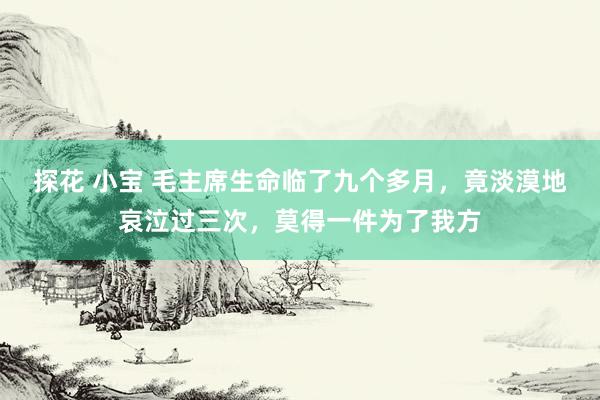 探花 小宝 毛主席生命临了九个多月，竟淡漠地哀泣过三次，莫得一件为了我方