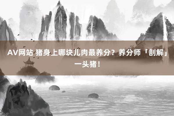 AV网站 猪身上哪块儿肉最养分？养分师「剖解」一头猪！