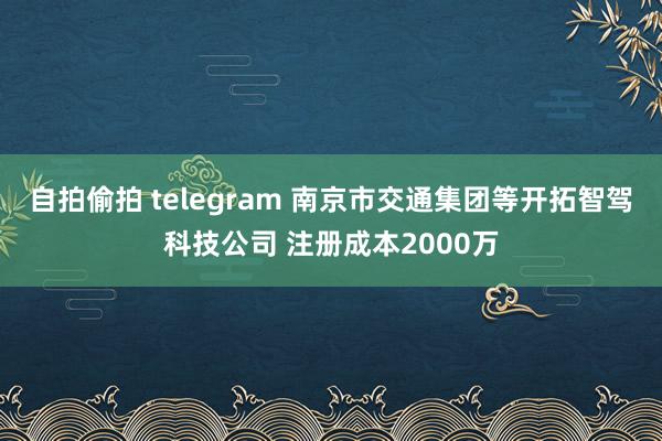 自拍偷拍 telegram 南京市交通集团等开拓智驾科技公司 注册成本2000万