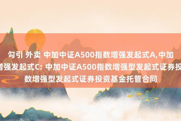 勾引 外卖 中加中证A500指数增强发起式A,中加中证A500指数增强发起式C: 中加中证A500指数增强型发起式证券投资基金托管合同