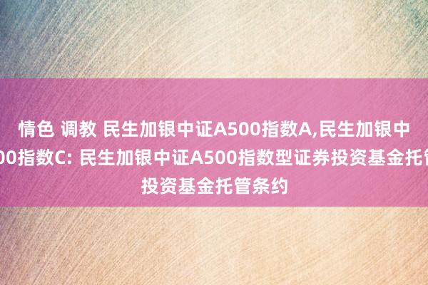 情色 调教 民生加银中证A500指数A,民生加银中证A500指数C: 民生加银中证A500指数型证券投资基金托管条约