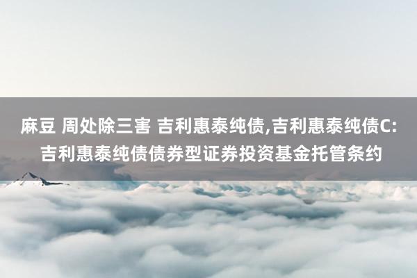 麻豆 周处除三害 吉利惠泰纯债,吉利惠泰纯债C: 吉利惠泰纯债债券型证券投资基金托管条约