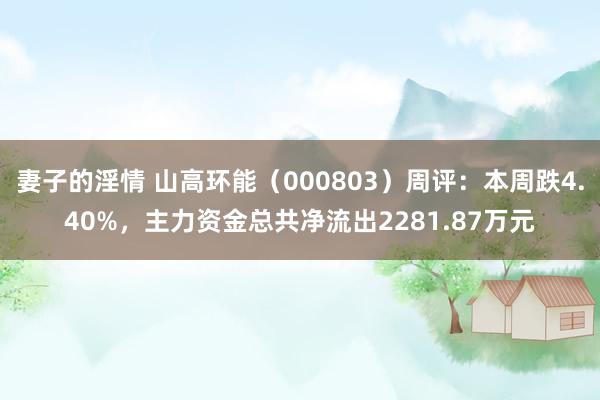 妻子的淫情 山高环能（000803）周评：本周跌4.40%，主力资金总共净流出2281.87万元