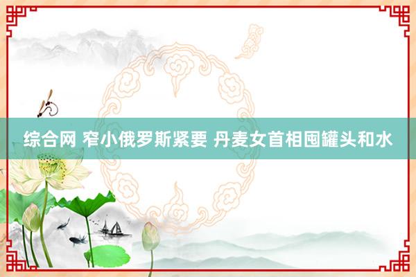 综合网 窄小俄罗斯紧要 丹麦女首相囤罐头和水