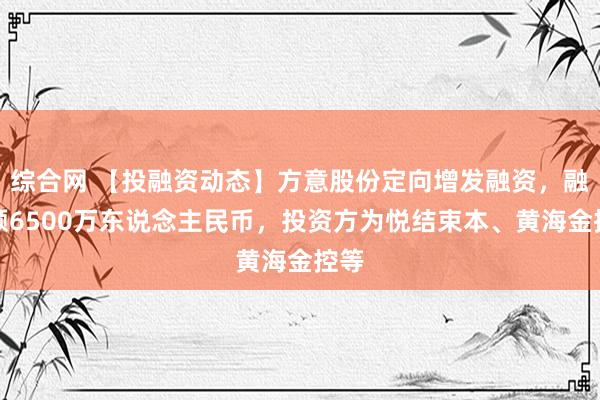 综合网 【投融资动态】方意股份定向增发融资，融资额6500万东说念主民币，投资方为悦结束本、黄海金控等