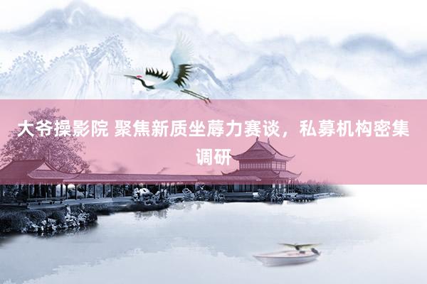 大爷操影院 聚焦新质坐蓐力赛谈，私募机构密集调研