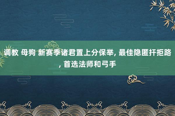 调教 母狗 新赛季诸君置上分保举， 最佳隐匿扞拒路， 首选法师和弓手