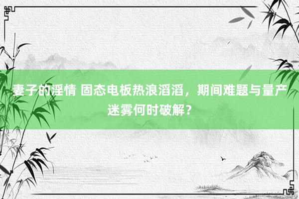 妻子的淫情 固态电板热浪滔滔，期间难题与量产迷雾何时破解？