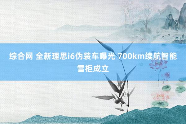 综合网 全新理思i6伪装车曝光 700km续航智能雪柜成立