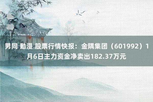 男同 動漫 股票行情快报：金隅集团（601992）1月6日主力资金净卖出182.37万元