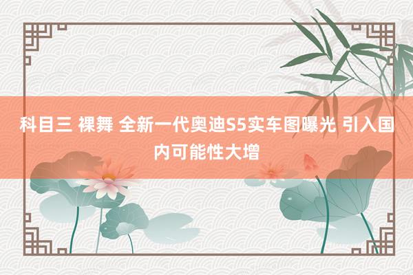 科目三 裸舞 全新一代奥迪S5实车图曝光 引入国内可能性大增
