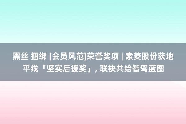 黑丝 捆绑 [会员风范]荣誉奖项 | 索菱股份获地平线「坚实后援奖」， 联袂共绘智驾蓝图