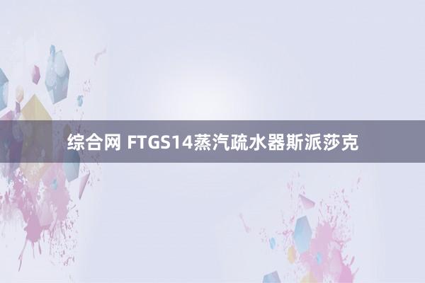 综合网 FTGS14蒸汽疏水器斯派莎克