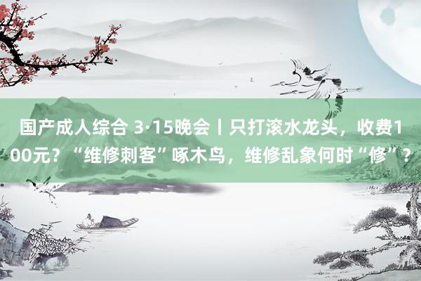 国产成人综合 3·15晚会丨只打滚水龙头，收费100元？“维修刺客”啄木鸟，维修乱象何时“修”？