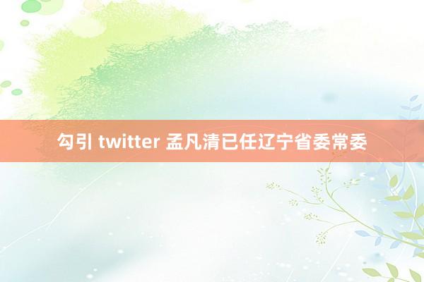 勾引 twitter 孟凡清已任辽宁省委常委