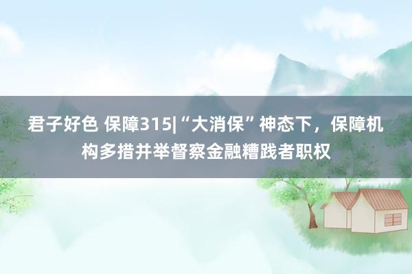 君子好色 保障315|“大消保”神态下，保障机构多措并举督察金融糟践者职权