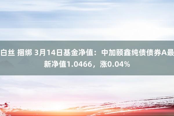 白丝 捆绑 3月14日基金净值：中加颐鑫纯债债券A最新净值1.0466，涨0.04%