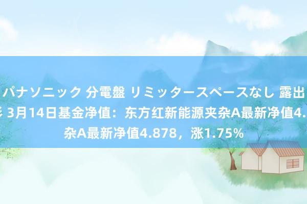 パナソニック 分電盤 リミッタースペースなし 露出・半埋込両用形 3月14日基金净值：东方红新能源夹杂A最新净值4.878，涨1.75%