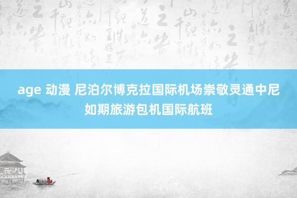 age 动漫 尼泊尔博克拉国际机场崇敬灵通中尼如期旅游包机国际航班