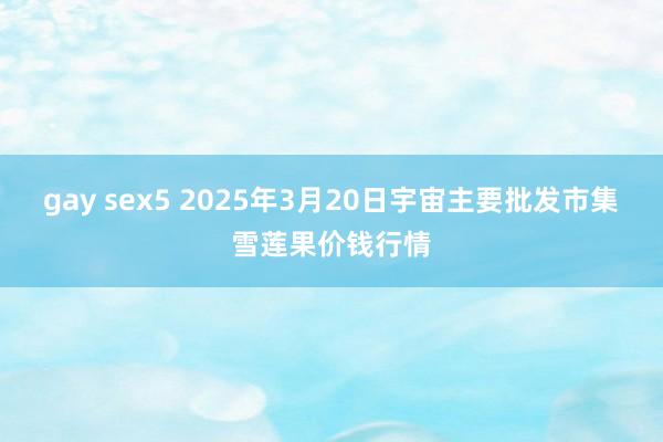 gay sex5 2025年3月20日宇宙主要批发市集雪莲果价钱行情