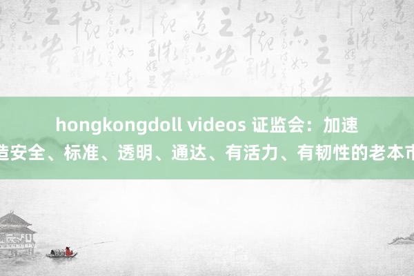 hongkongdoll videos 证监会：加速打造安全、标准、透明、通达、有活力、有韧性的老本市集