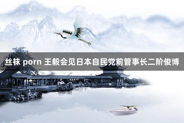 丝袜 porn 王毅会见日本自民党前管事长二阶俊博
