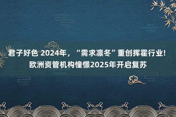 君子好色 2024年，“需求凛冬”重创挥霍行业! 欧洲资管机构憧憬2025年开启复苏