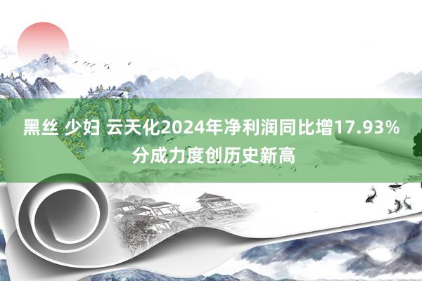 黑丝 少妇 云天化2024年净利润同比增17.93% 分成力度创历史新高