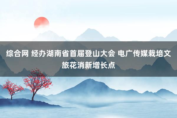 综合网 经办湖南省首届登山大会 电广传媒栽培文旅花消新增长点