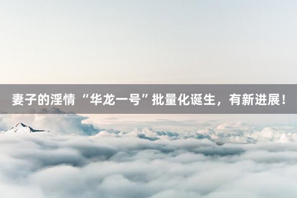 妻子的淫情 “华龙一号”批量化诞生，有新进展！