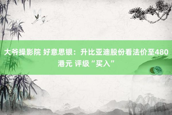 大爷操影院 好意思银：升比亚迪股份看法价至480港元 评级“买入”