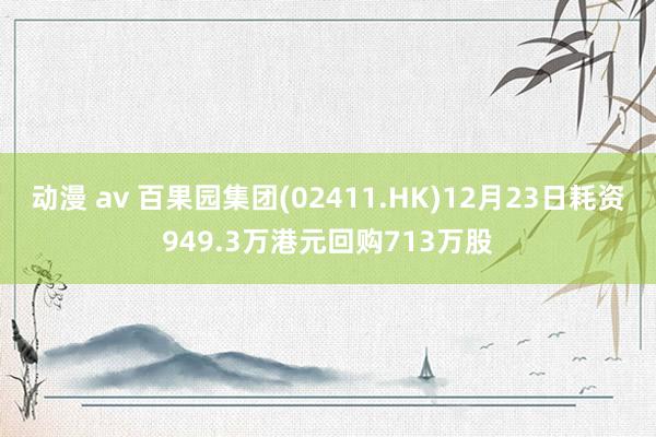 动漫 av 百果园集团(02411.HK)12月23日耗资949.3万港元回购713万股
