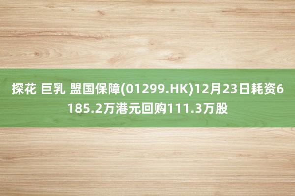探花 巨乳 盟国保障(01299.HK)12月23日耗资6185.2万港元回购111.3万股