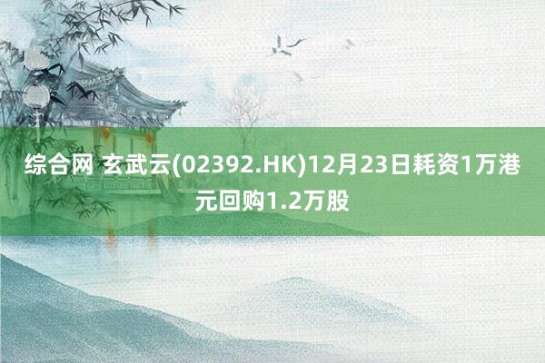 综合网 玄武云(02392.HK)12月23日耗资1万港元回购1.2万股