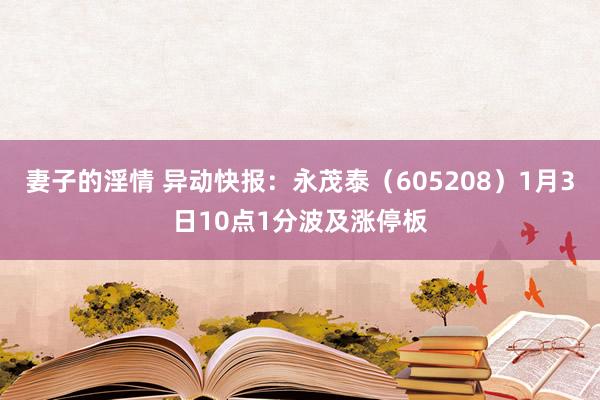 妻子的淫情 异动快报：永茂泰（605208）1月3日10点1分波及涨停板