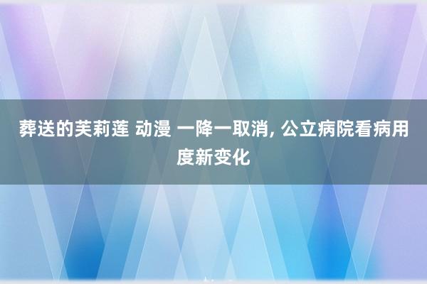 葬送的芙莉莲 动漫 一降一取消， 公立病院看病用度新变化
