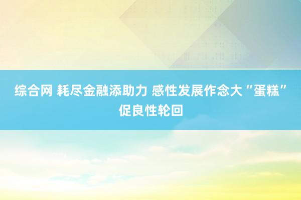 综合网 耗尽金融添助力 感性发展作念大“蛋糕”促良性轮回