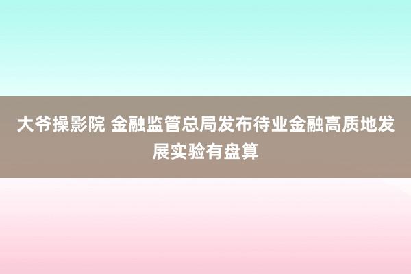 大爷操影院 金融监管总局发布待业金融高质地发展实验有盘算