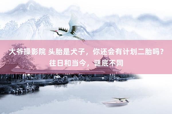大爷操影院 头胎是犬子，你还会有计划二胎吗？往日和当今，谜底不同