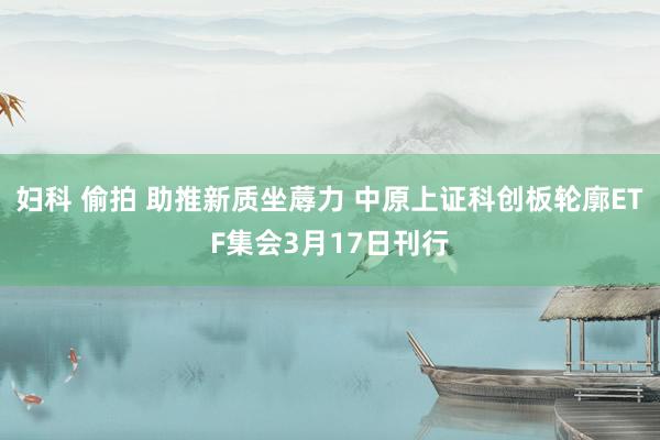 妇科 偷拍 助推新质坐蓐力 中原上证科创板轮廓ETF集会3月17日刊行