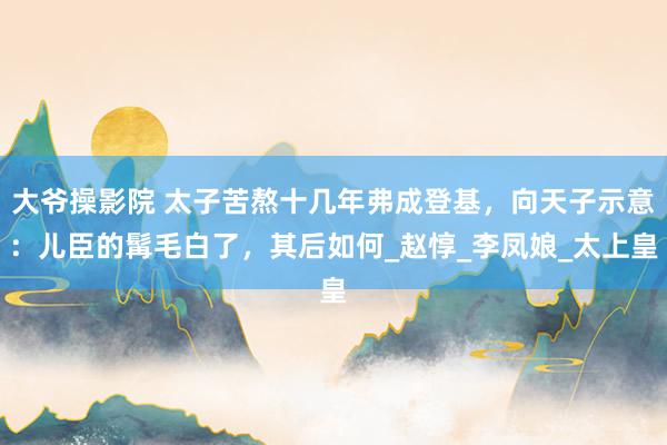 大爷操影院 太子苦熬十几年弗成登基，向天子示意：儿臣的髯毛白了，其后如何_赵惇_李凤娘_太上皇