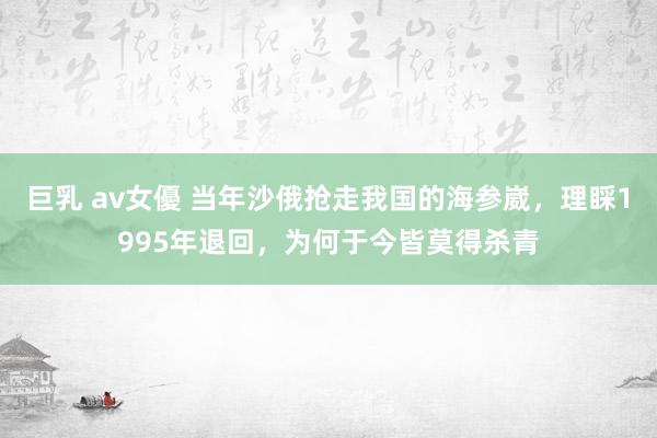 巨乳 av女優 当年沙俄抢走我国的海参崴，理睬1995年退回，为何于今皆莫得杀青