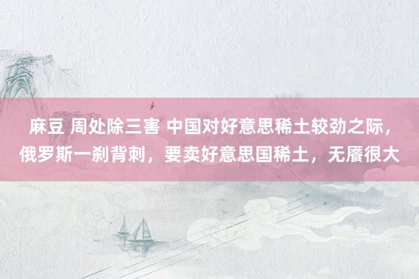麻豆 周处除三害 中国对好意思稀土较劲之际，俄罗斯一刹背刺，要卖好意思国稀土，无餍很大