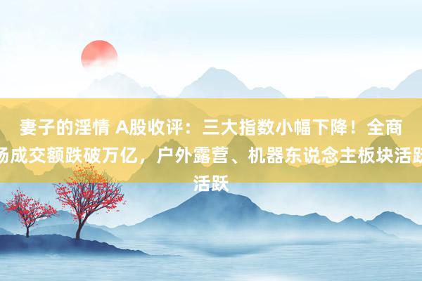 妻子的淫情 A股收评：三大指数小幅下降！全商场成交额跌破万亿，户外露营、机器东说念主板块活跃