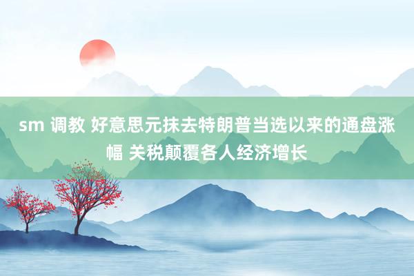 sm 调教 好意思元抹去特朗普当选以来的通盘涨幅 关税颠覆各人经济增长