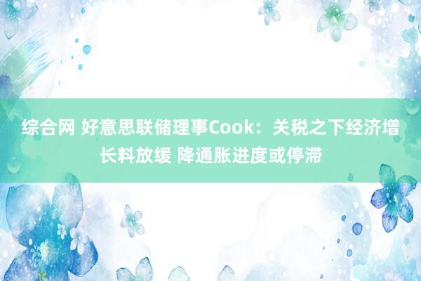 综合网 好意思联储理事Cook：关税之下经济增长料放缓 降通胀进度或停滞