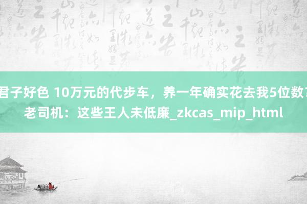 君子好色 10万元的代步车，养一年确实花去我5位数？老司机：这些王人未低廉_zkcas_mip_html