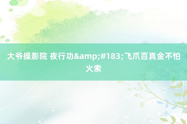 大爷操影院 夜行功&#183;飞爪百真金不怕火索